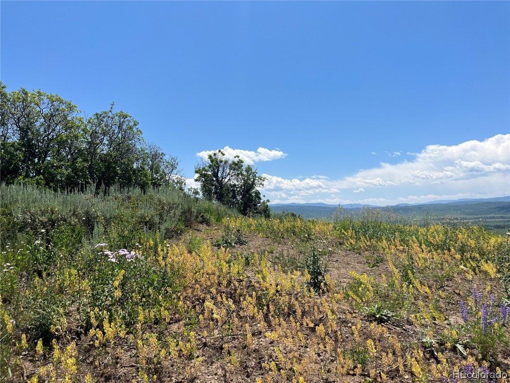 TBD County Road 46, Steamboat Springs, CO 80487 Listing Photo  27