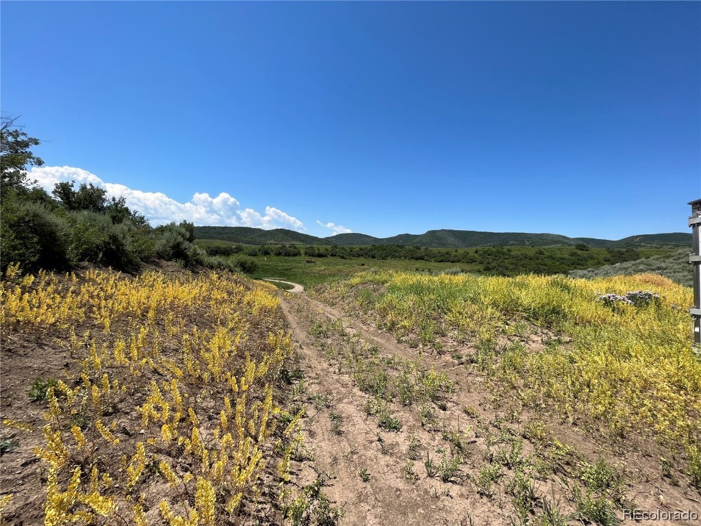 TBD County Road 46, Steamboat Springs, CO 80487 Listing Photo  36