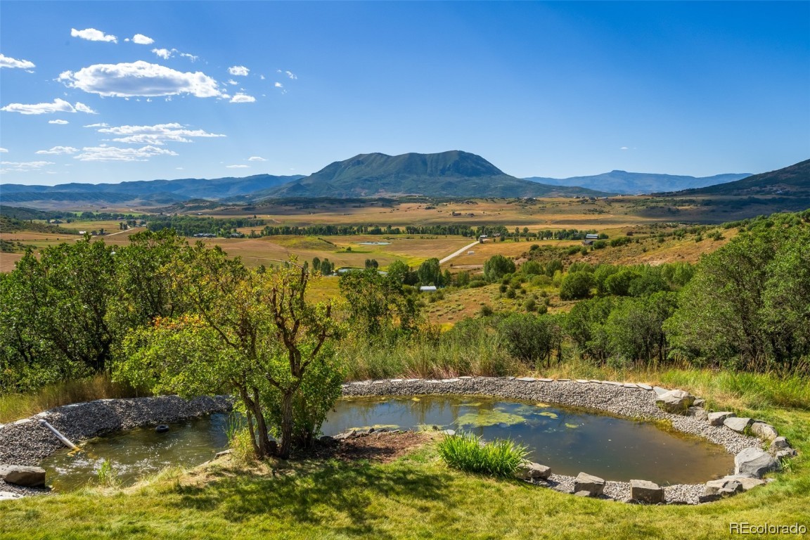 29745 Elk View Drive, Steamboat Springs, CO 80487 Listing Photo  3
