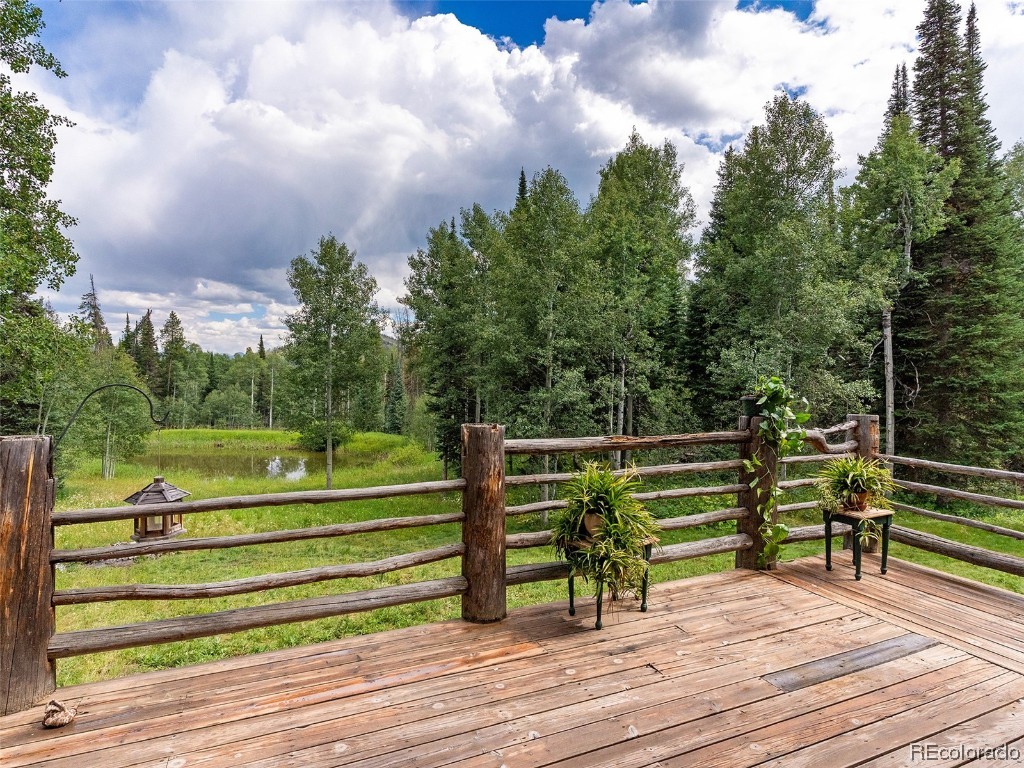 26795 Placer Place, Clark, CO 80487 Listing Photo  7