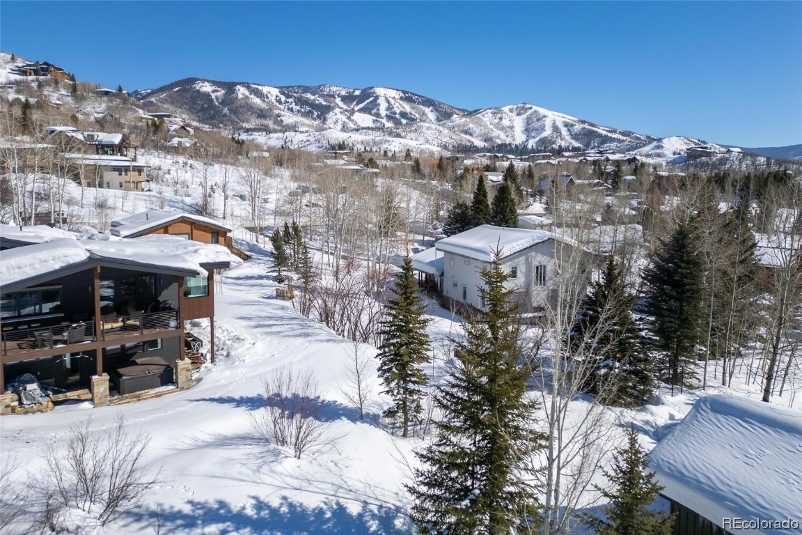 54 Copper Rose Court, Steamboat Springs, CO 80487 Listing Photo  14