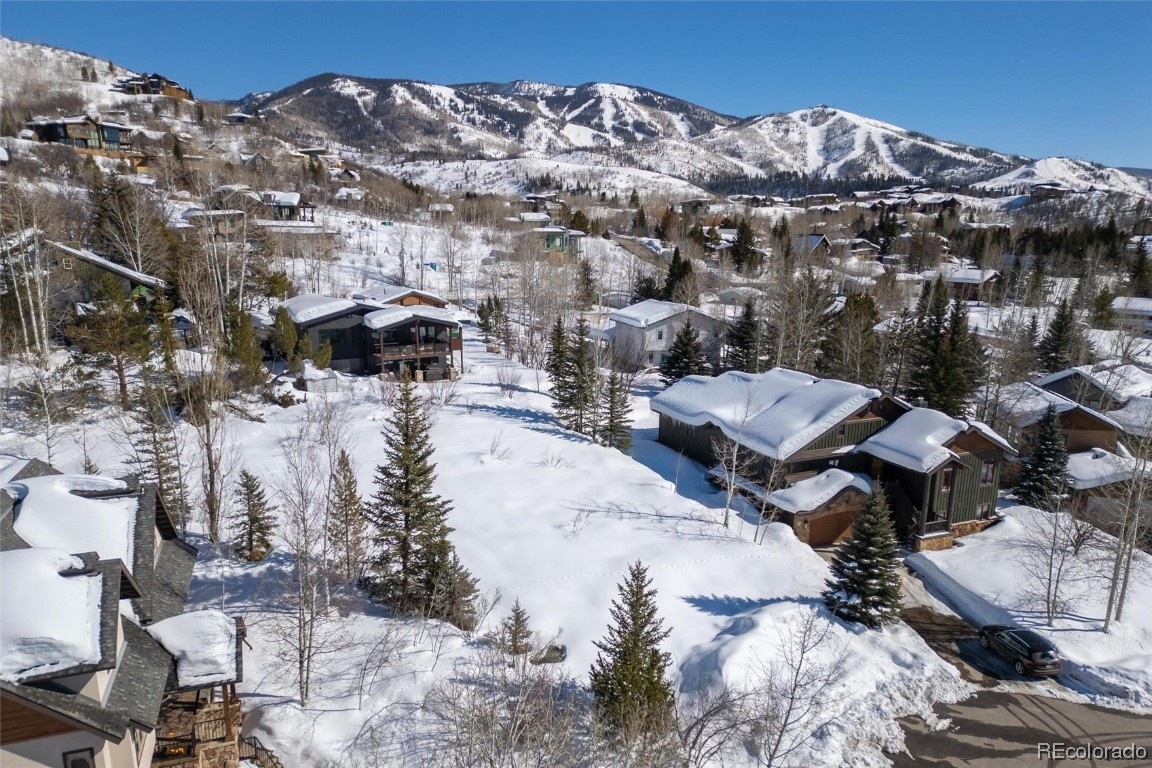 54 Copper Rose Court, Steamboat Springs, CO 80487 Listing Photo  3