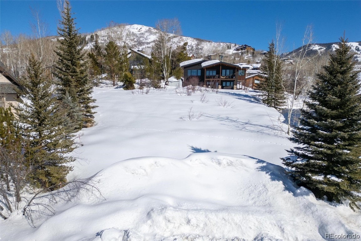 54 Copper Rose Court, Steamboat Springs, CO 80487 Listing Photo  7
