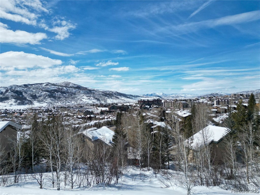 2635 Longthong Road, Steamboat Springs, CO 80487 Listing Photo  2