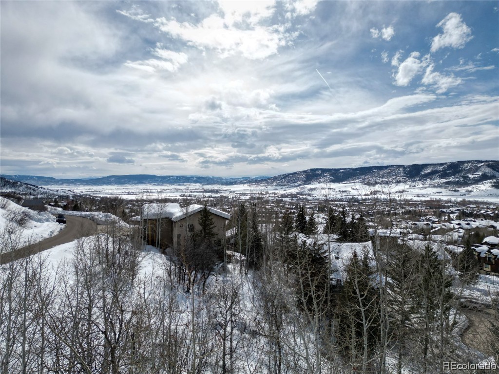 2635 Longthong Road, Steamboat Springs, CO 80487 Listing Photo  4