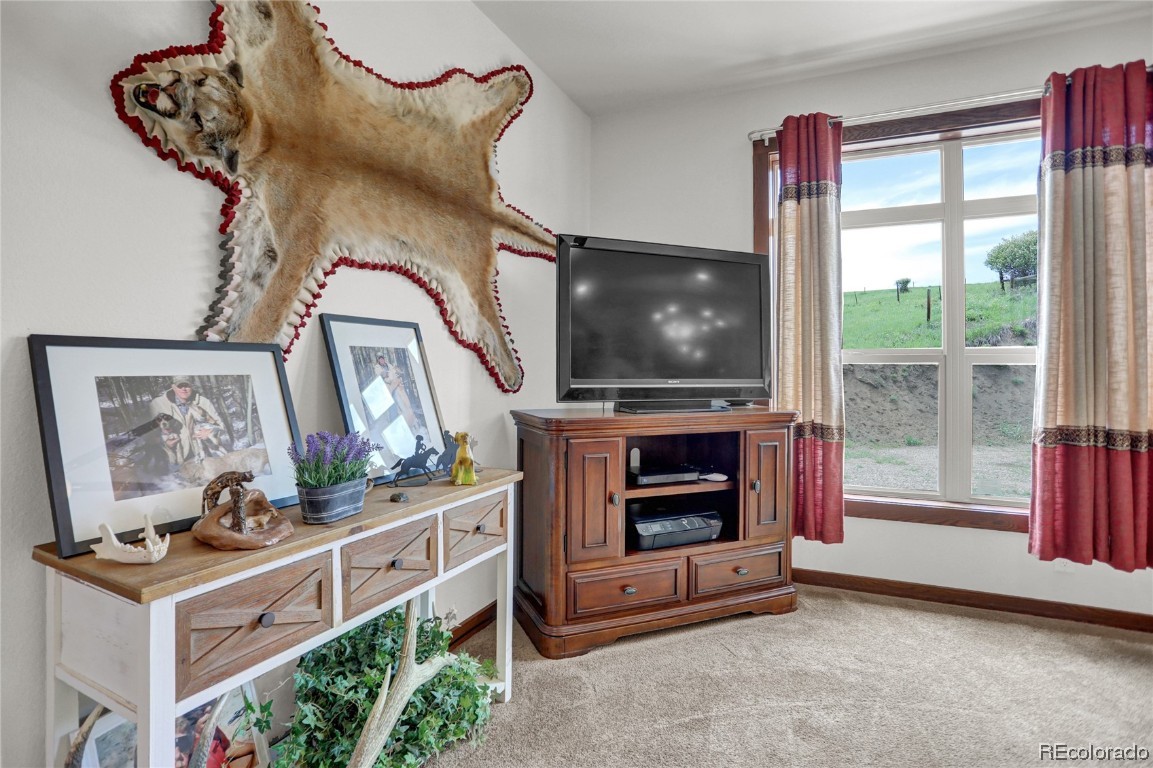 5785 County Road 78, #A, Hayden, CO 81639 Listing Photo  30