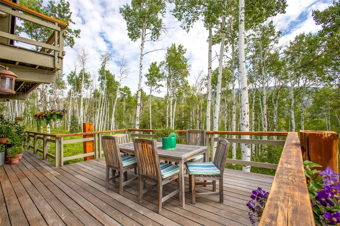 31820 Bradley Ranch, Steamboat Springs, CO 80487 Listing Photo  15