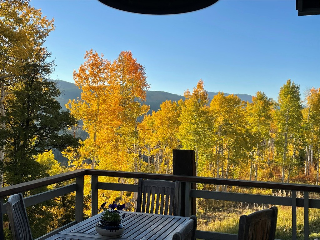 31820 Bradley Ranch, Steamboat Springs, CO 80487 Listing Photo  43