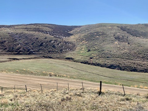 TBD County Road 76, Hayden, CO 81639 Listing Photo  17