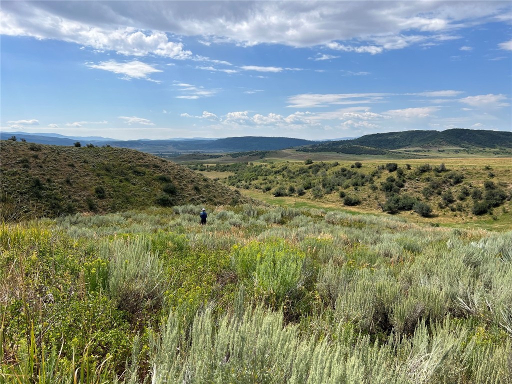 0000 County Road 46, Steamboat Springs, CO 80487 Listing Photo  5