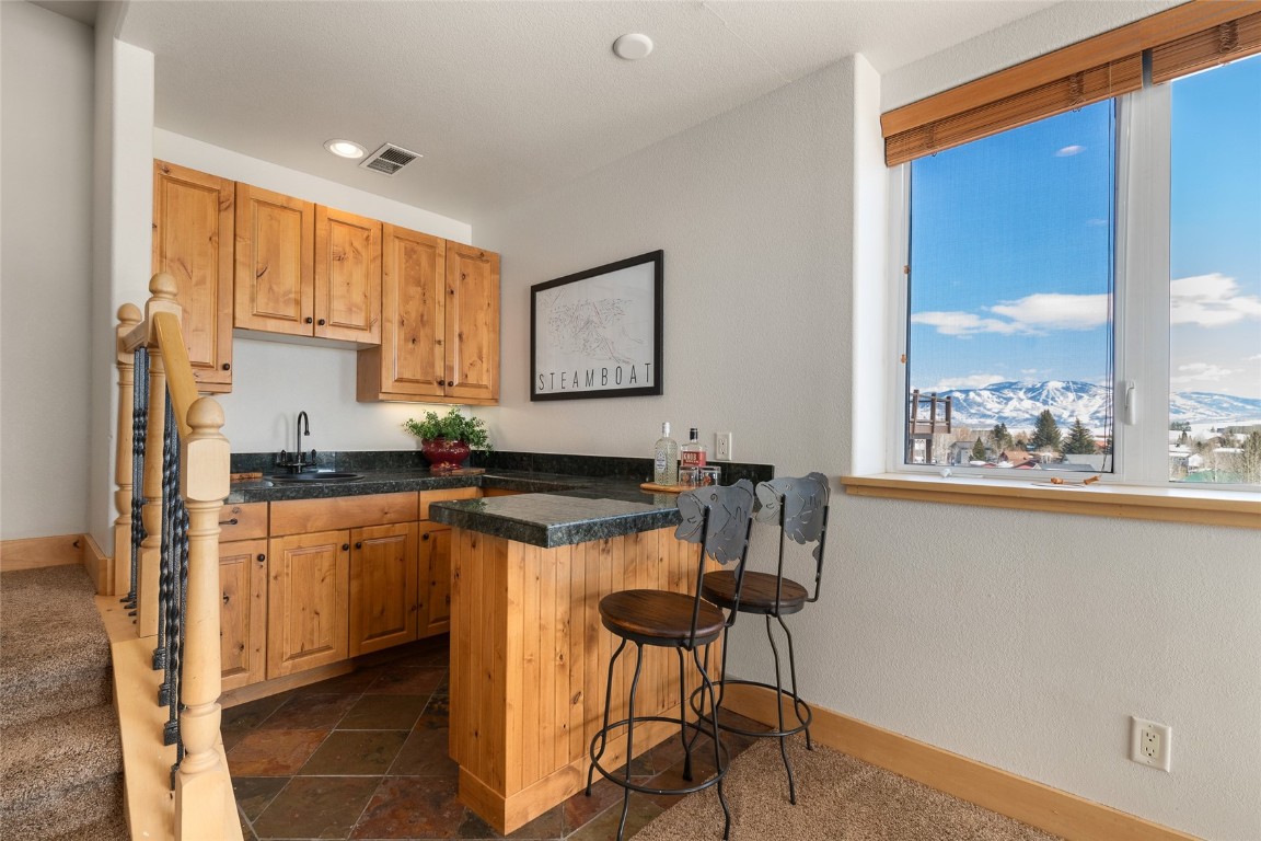 27606 Silver Spur Street, Steamboat Springs, CO 80487 Listing Photo  38