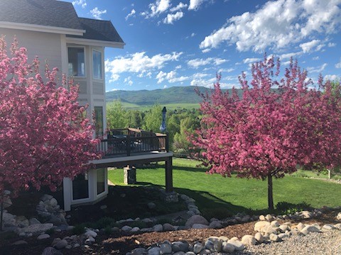 27606 Silver Spur Street, Steamboat Springs, CO 80487 Listing Photo  44