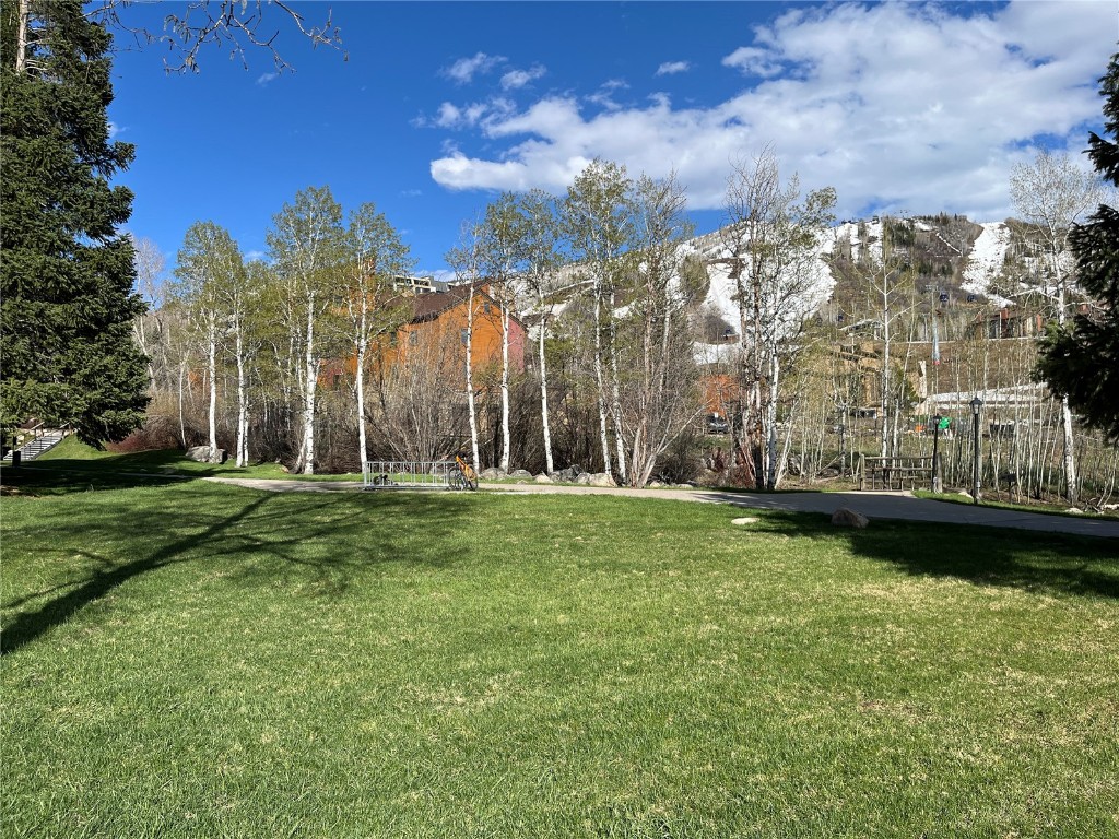 1920 Ski Time Square Drive, #208, Steamboat Springs, CO 80487 Listing Photo  20