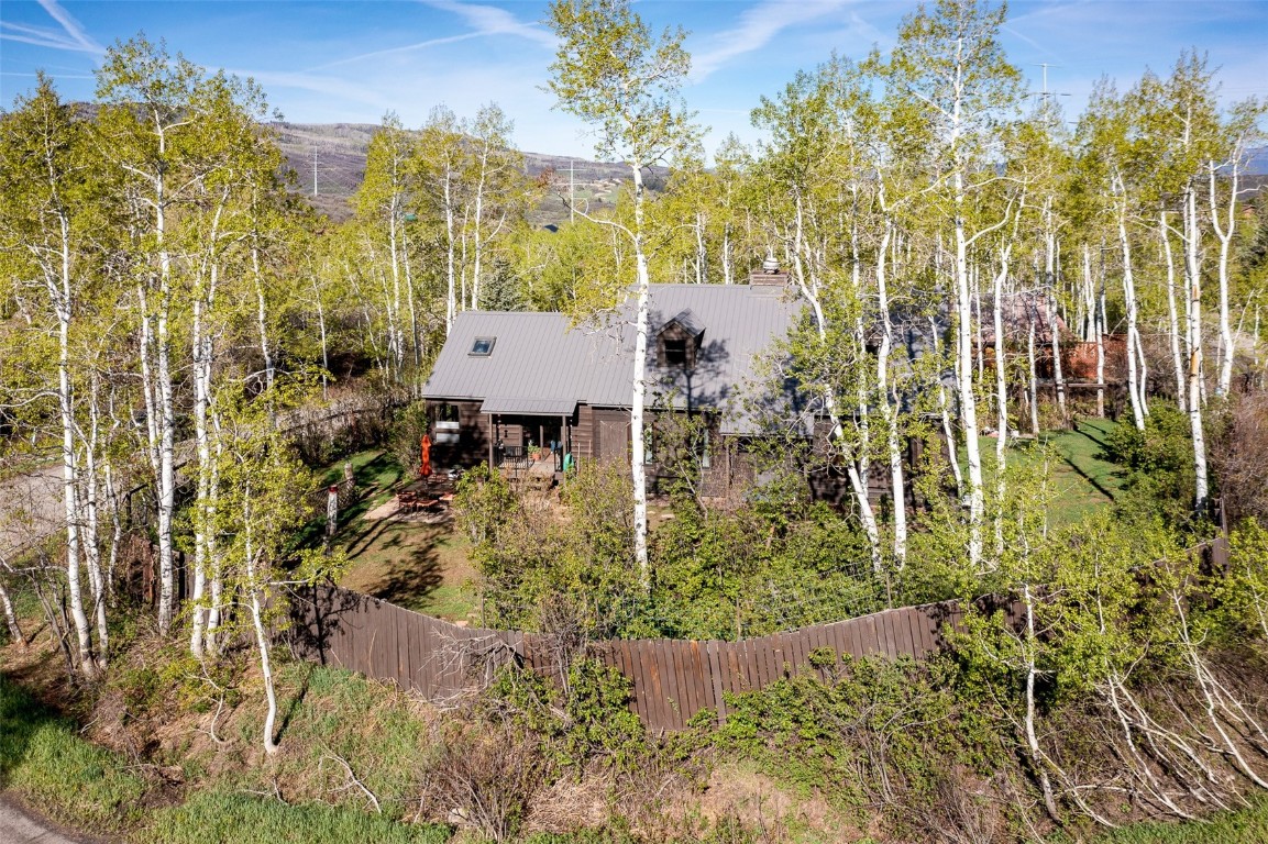 1781 Alexandre Way, Steamboat Springs, CO 80487 Listing Photo  25