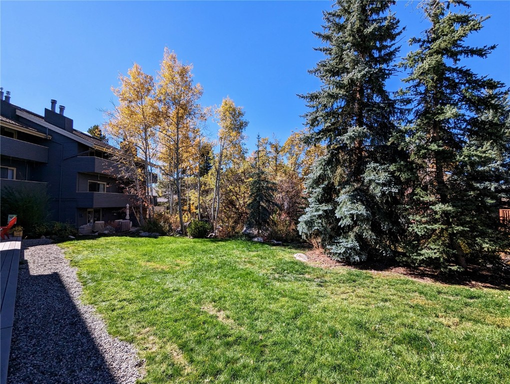 1117 Overlook Drive, #1117, Steamboat Springs, CO 80487 Listing Photo  37