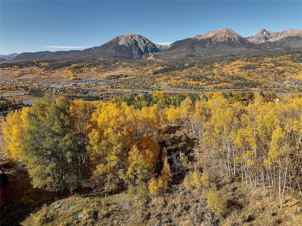 1000 Lakeview Circle, Silverthorne, CO 80498 Listing Photo  12