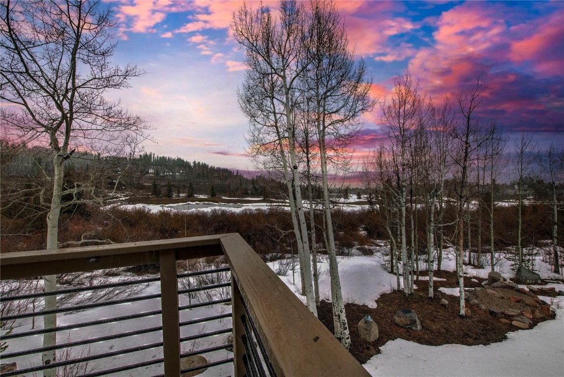 734 Wild Rose Road, Silverthorne, CO 80498 Listing Photo  38