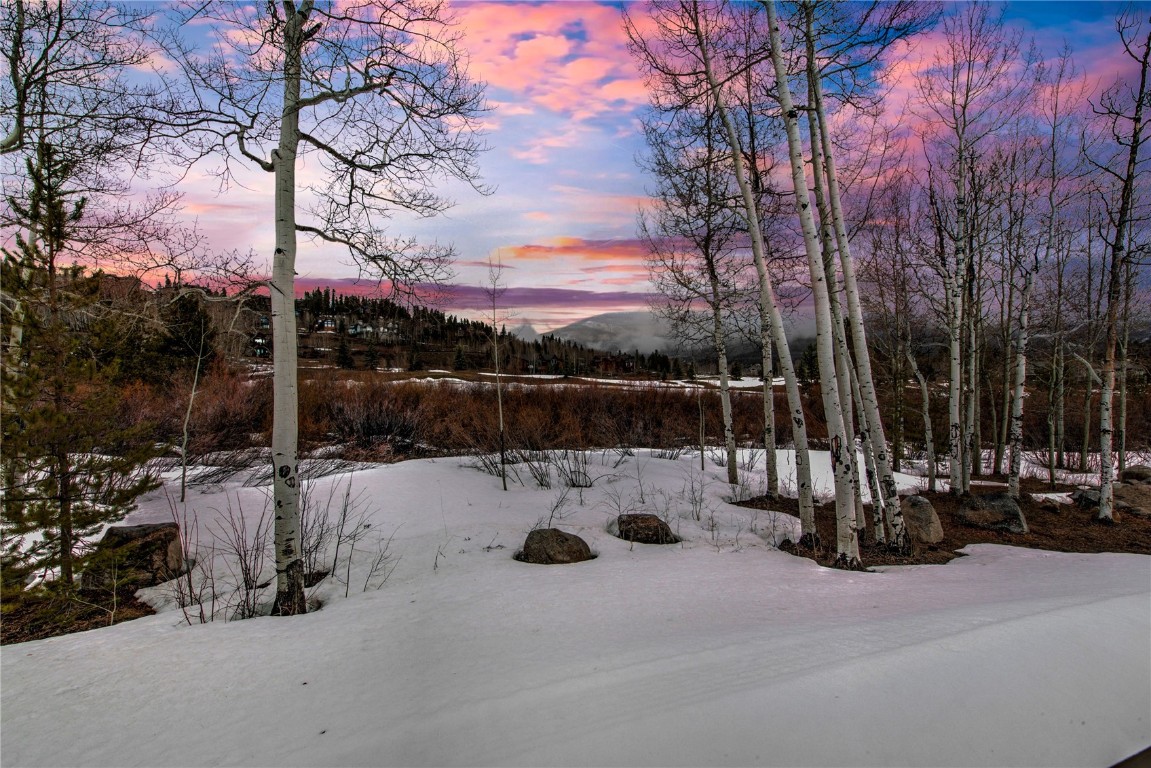 734 Wild Rose Road, Silverthorne, CO 80498 Listing Photo  39
