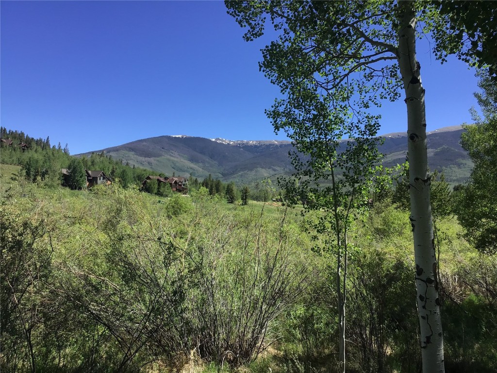 734 Wild Rose Road, Silverthorne, CO 80498 Listing Photo  41