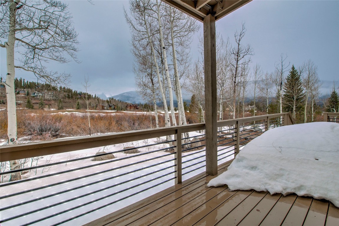 734 Wild Rose Road, Silverthorne, CO 80498 Listing Photo  48