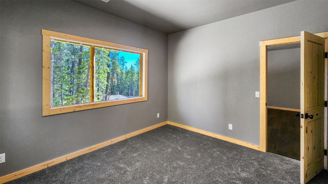 471 Silverheels Place, Fairplay, CO 80440 Listing Photo  28