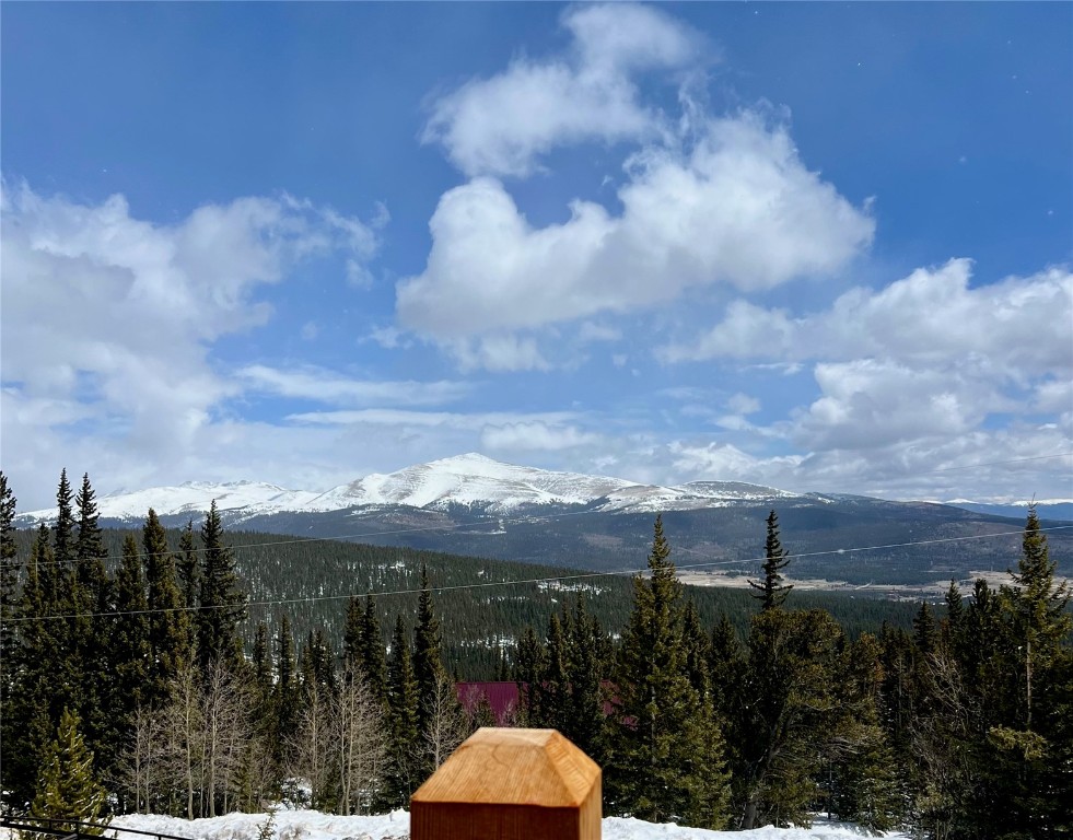 471 Silverheels Place, Fairplay, CO 80440 Listing Photo  3