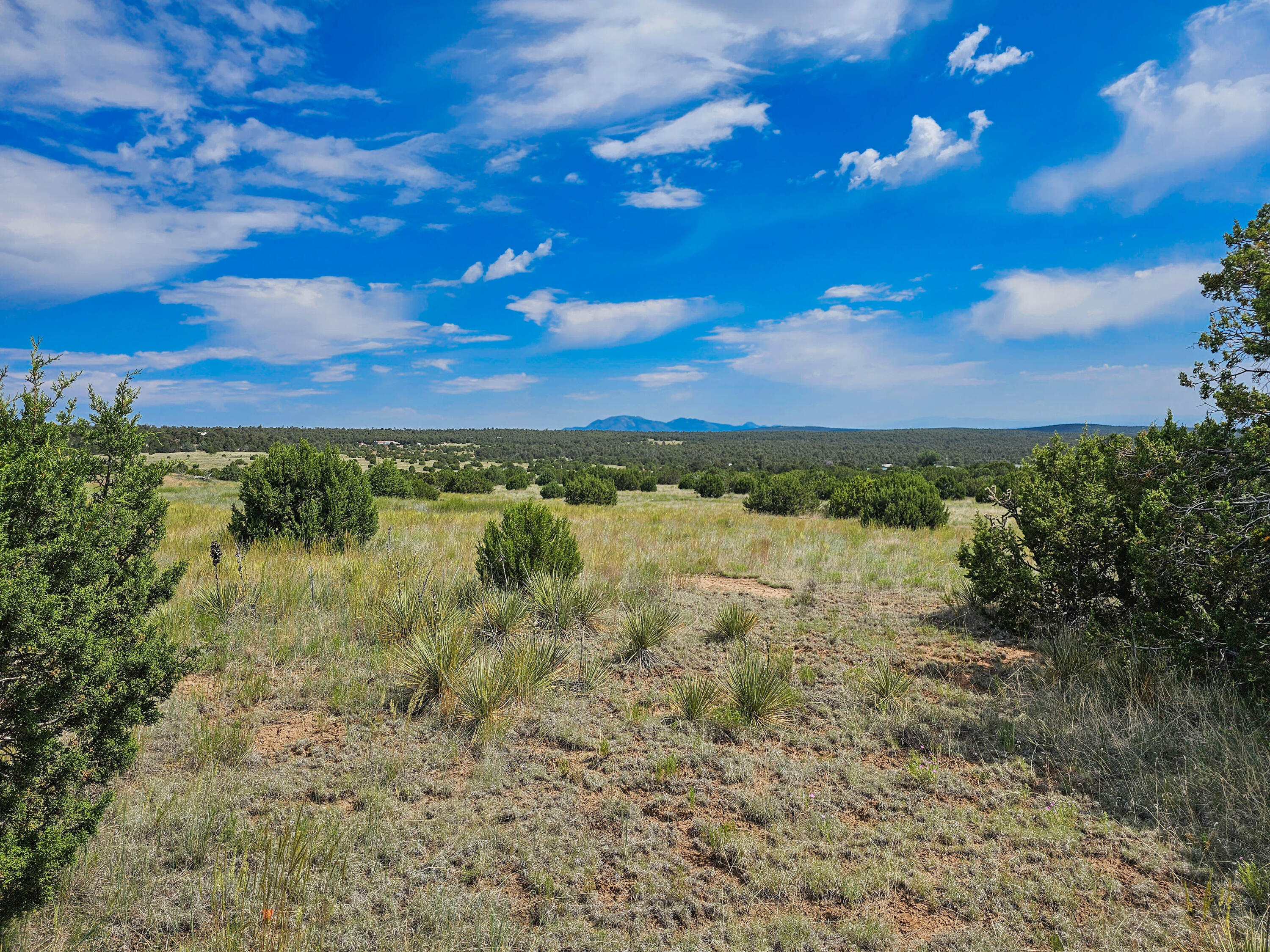 289 Gonzales Road, Socorro
