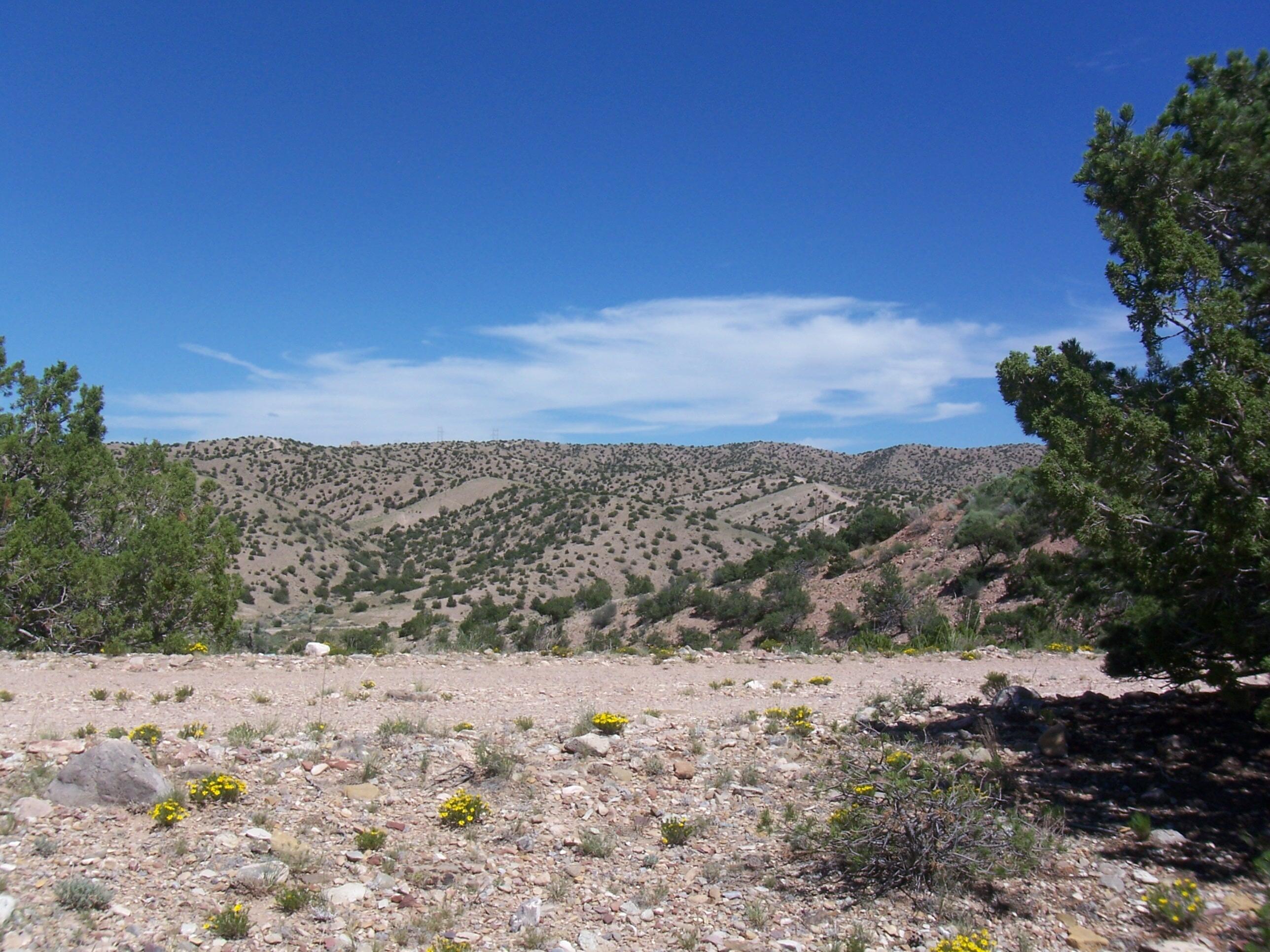 54 Camino De Las Brisas Santa Fe, NM 87043