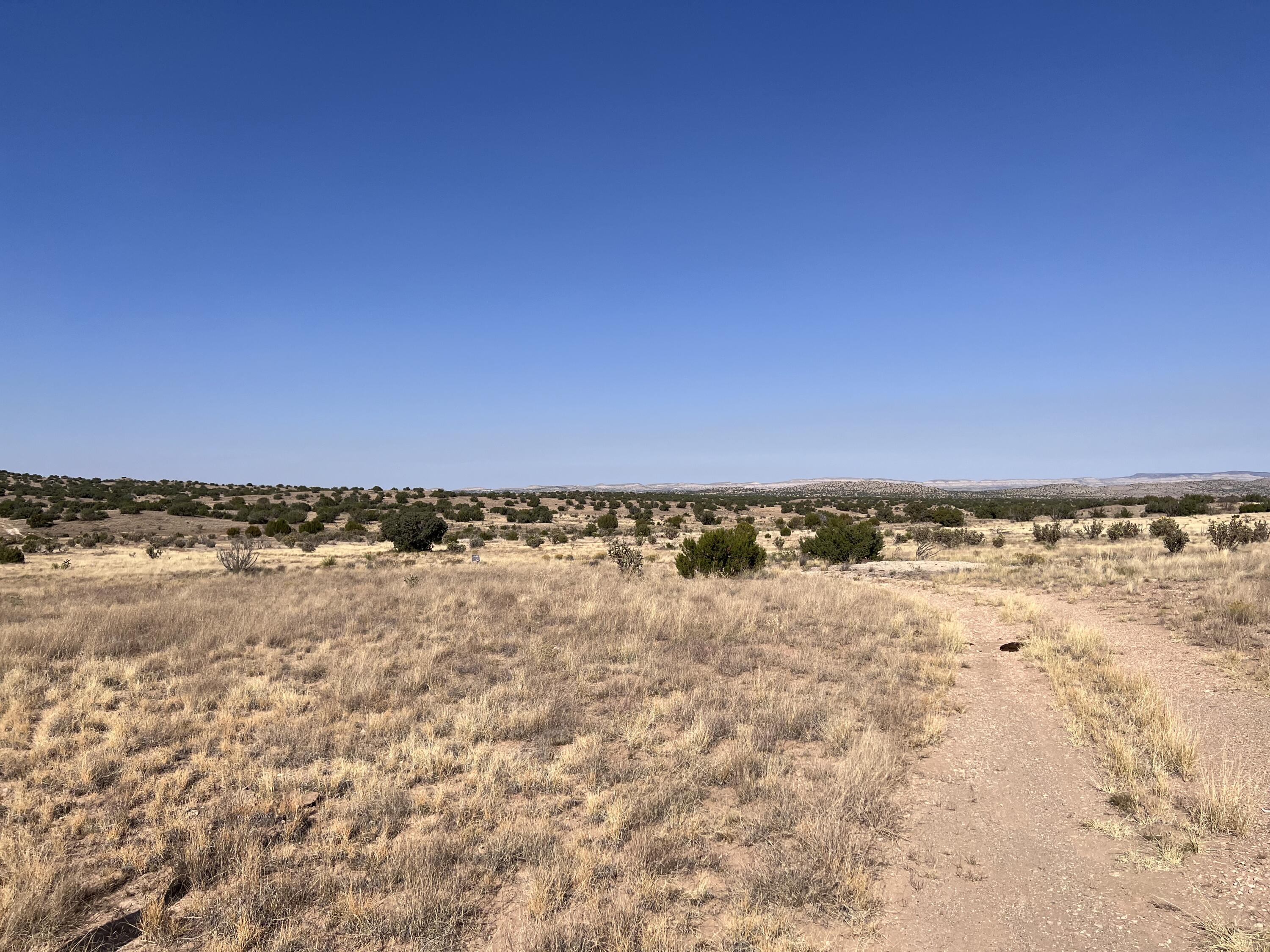 Lot 3904 Blk 1 Valle De Manana Lindrith, NM 87823