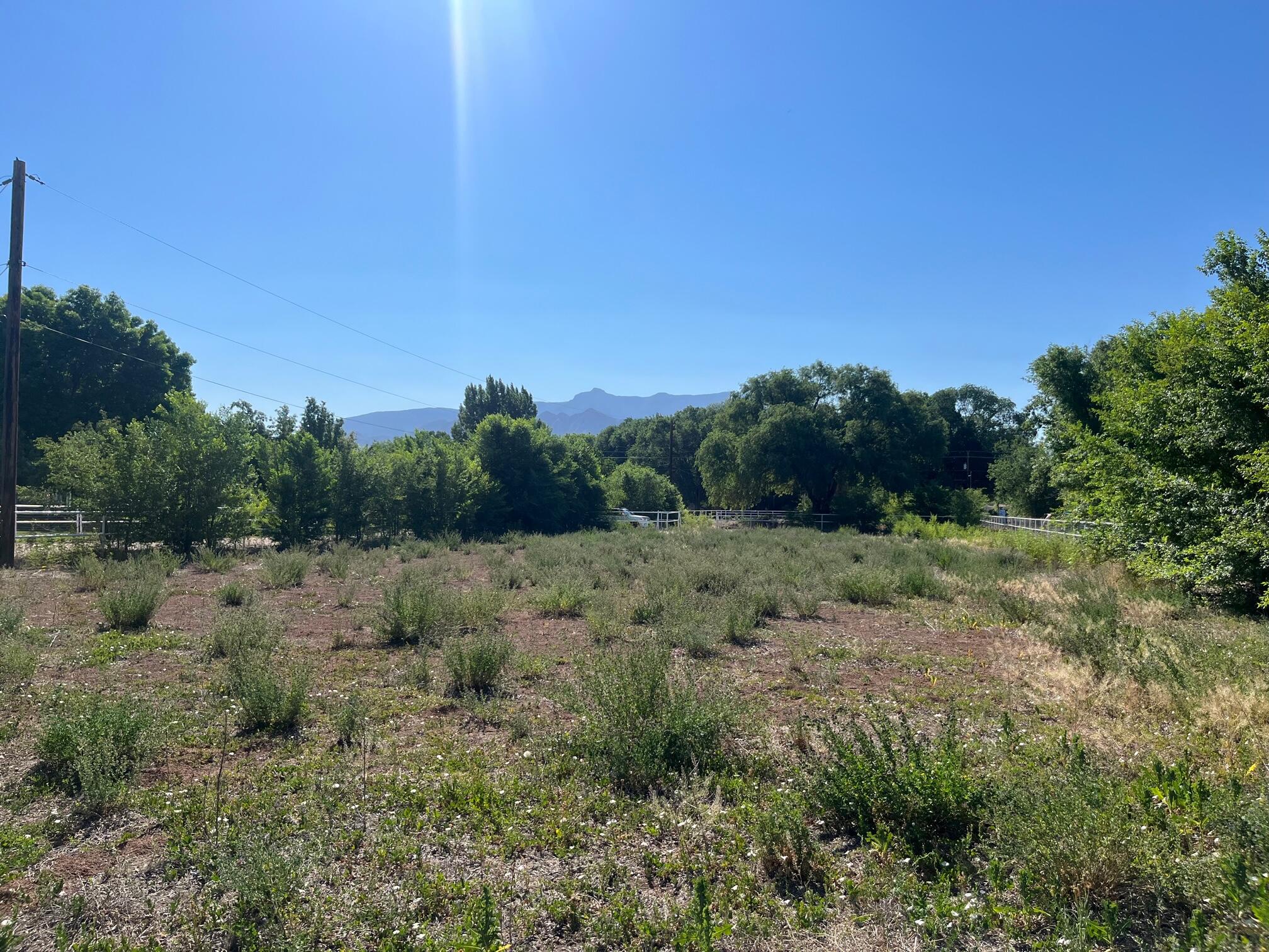 6525 Corrales Road Corrales, NM 87048