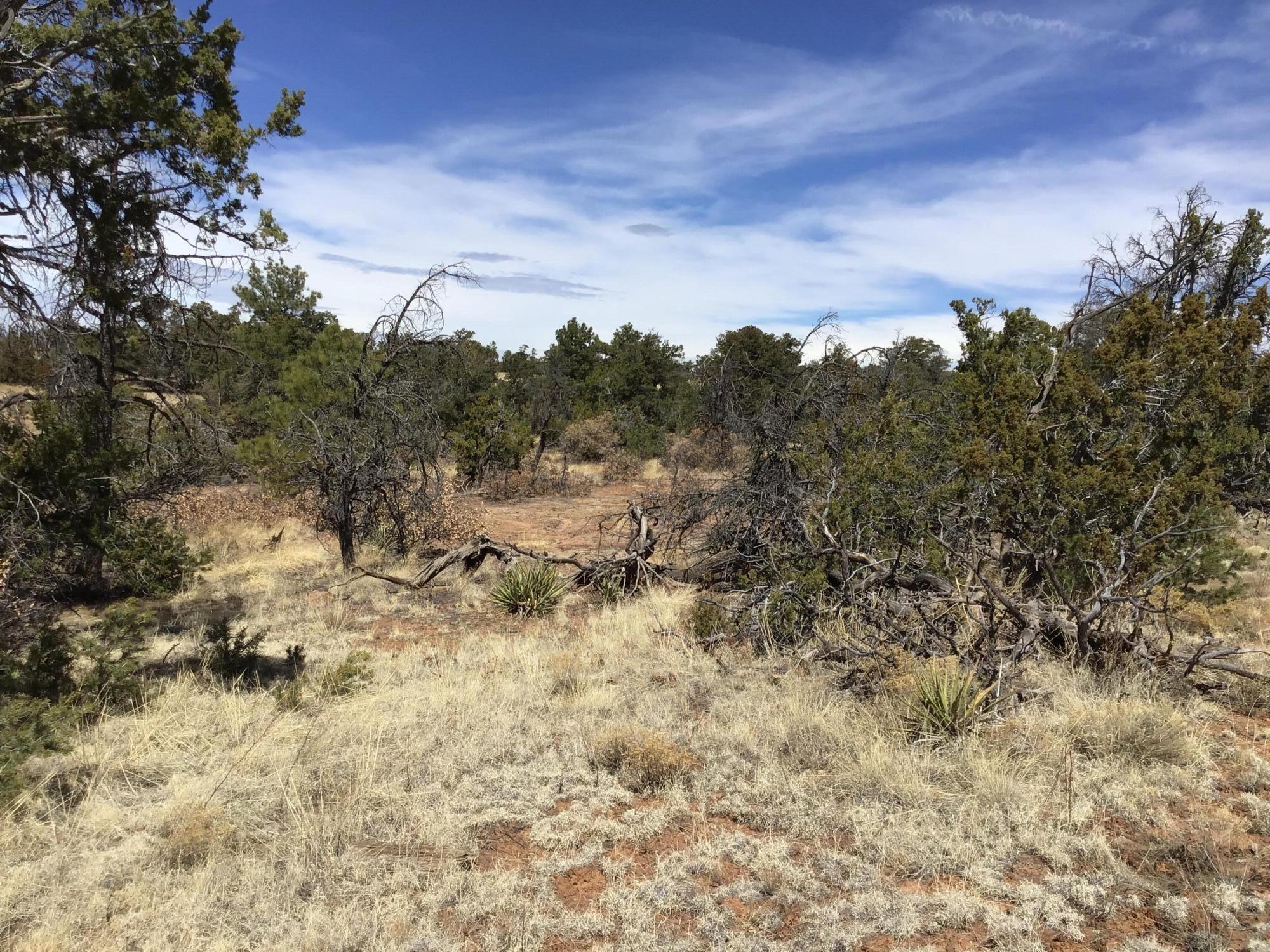 Lot 636-A Edgewood Drive 