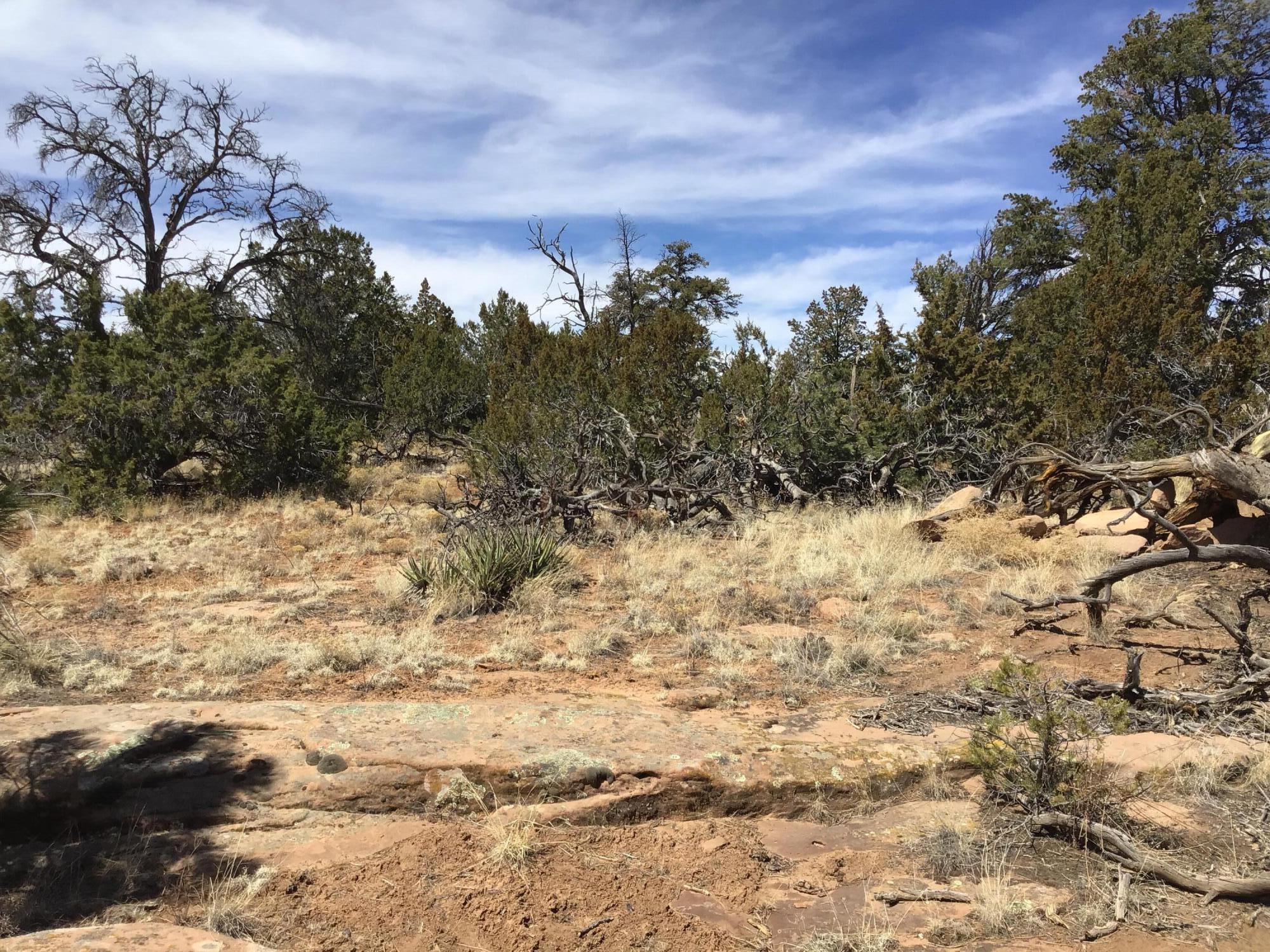 Lot 636-A Edgewood Drive 