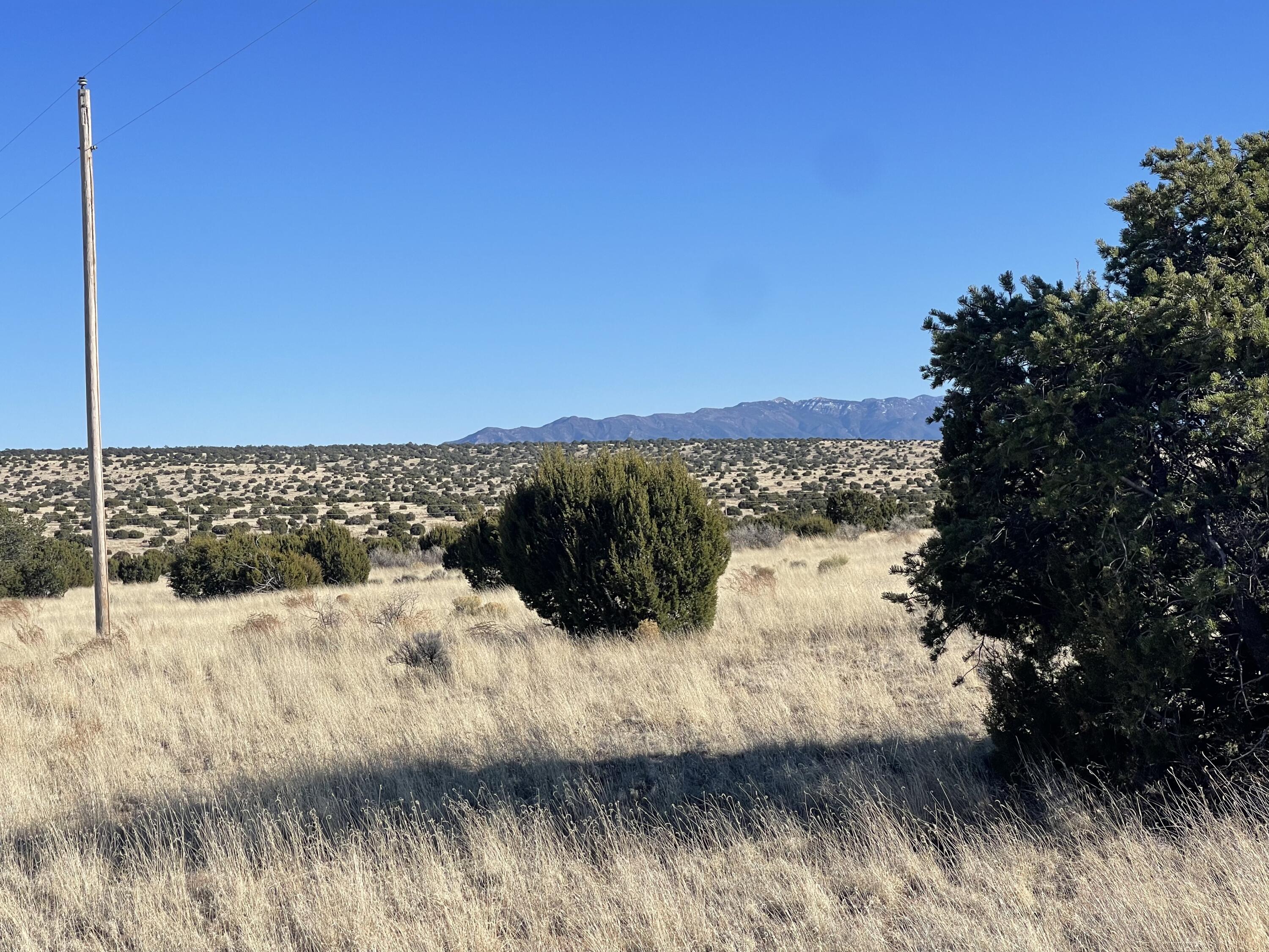 Lot 24 Pinon Springs Road, Bosque