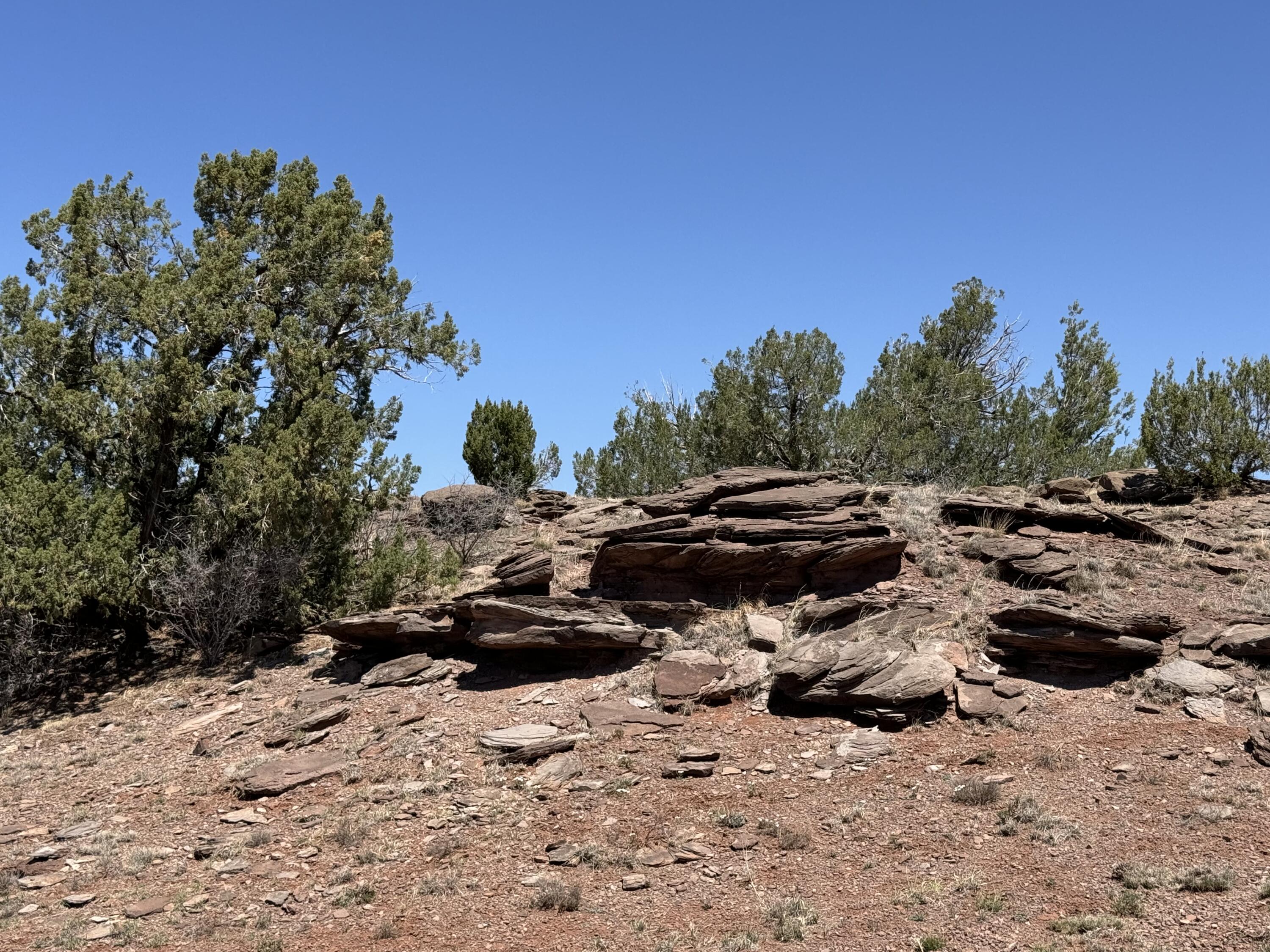 0 Sena Road Jemez Springs, NM 88435