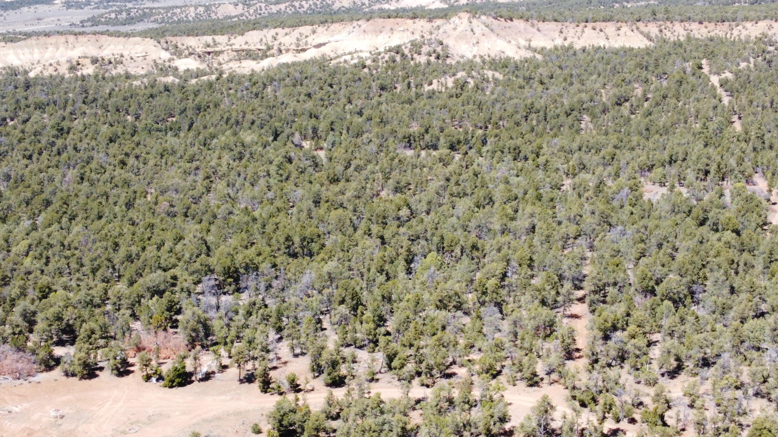 Tbd Naranjo Creek Road Milan, NM 87027