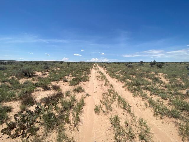 25th Avenue NW Rio Rancho, NM 87144
