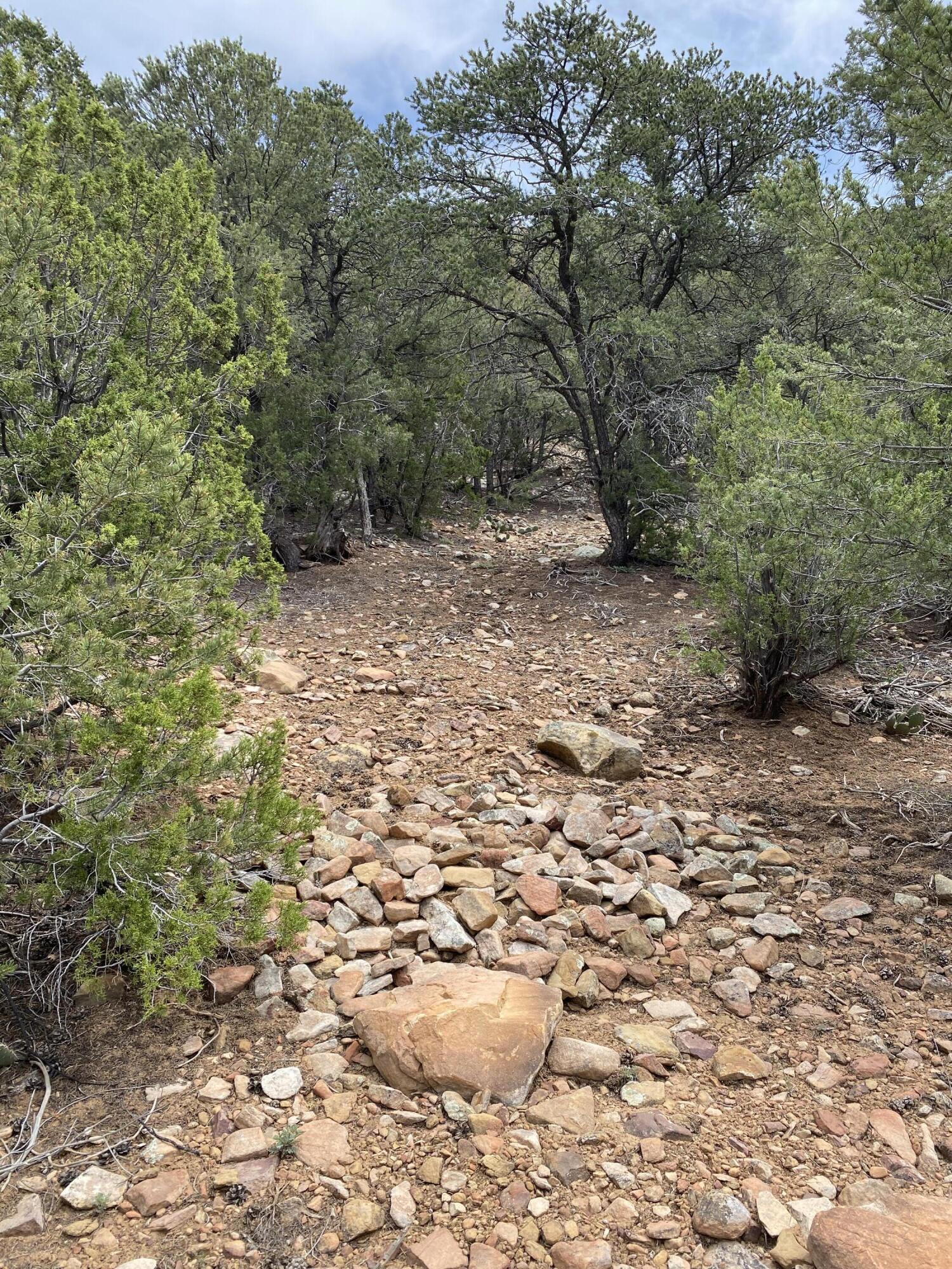Shasta Court Cedar Crest, NM 87008
