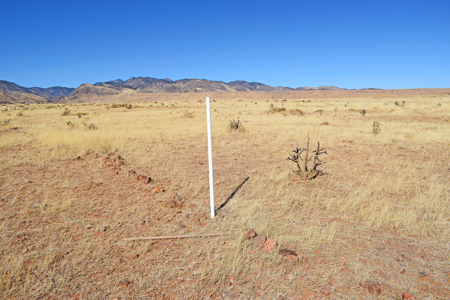 Lot 224 Double B Ranch Road San Antonio, NM 87832