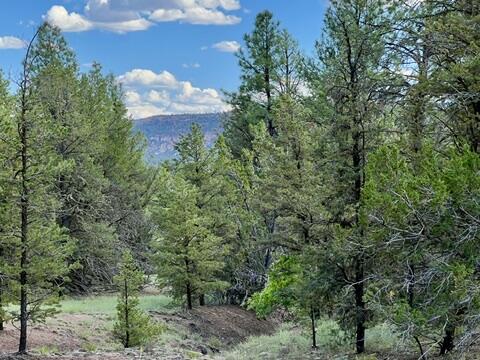 Lot 42 Sunflower Drive, Ramah
