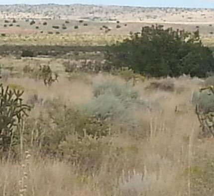 4743 Findlay (2+/- Acres!) Street NE, Rio Rancho