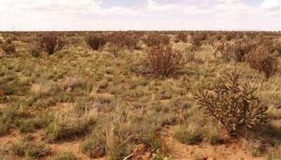 17-20 Fairfield Road NW Rio Rancho, NM 87144