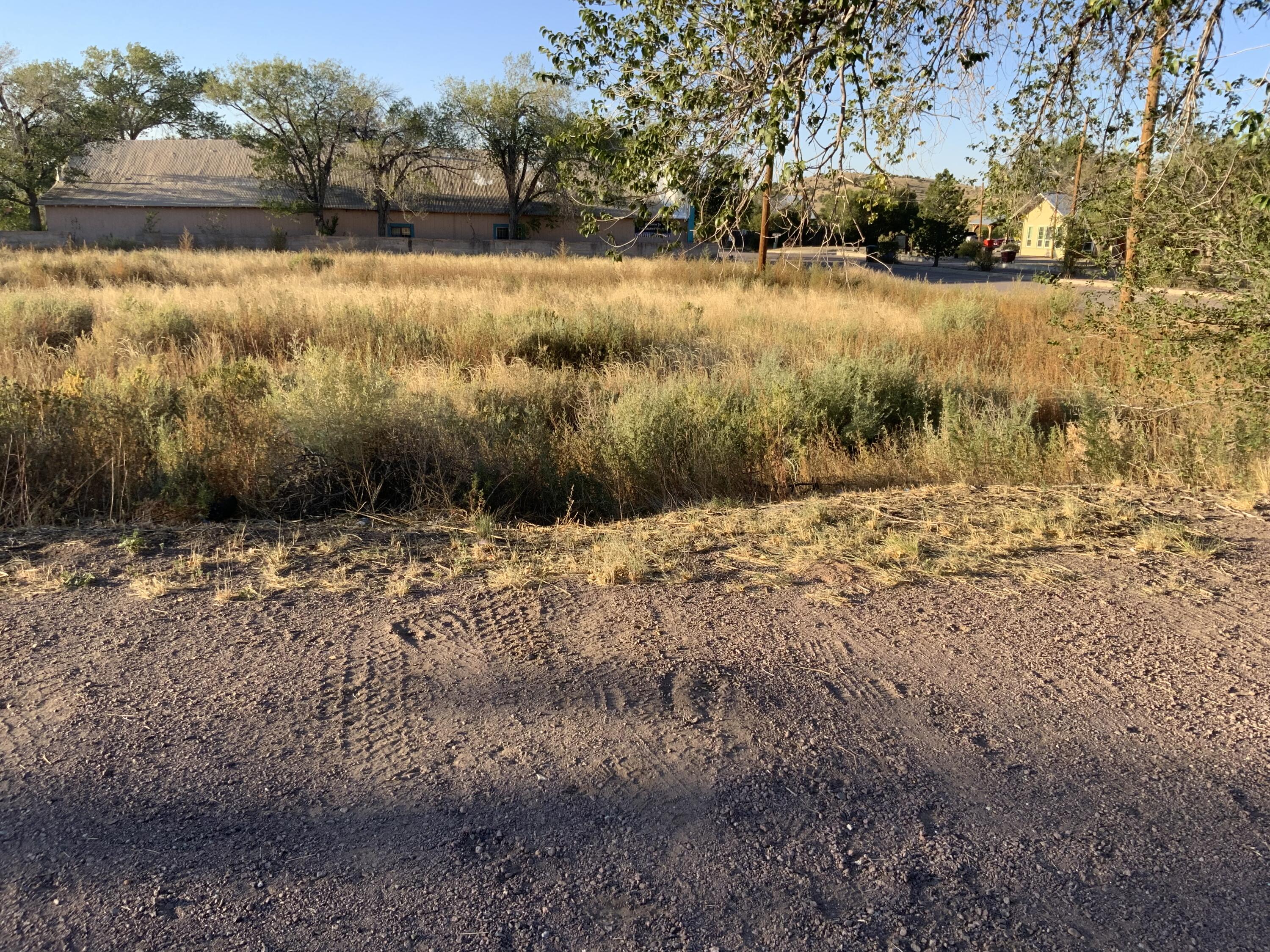 Lot N Main Street, Bosque