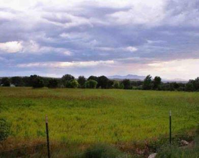 Tract 11, Thoreau