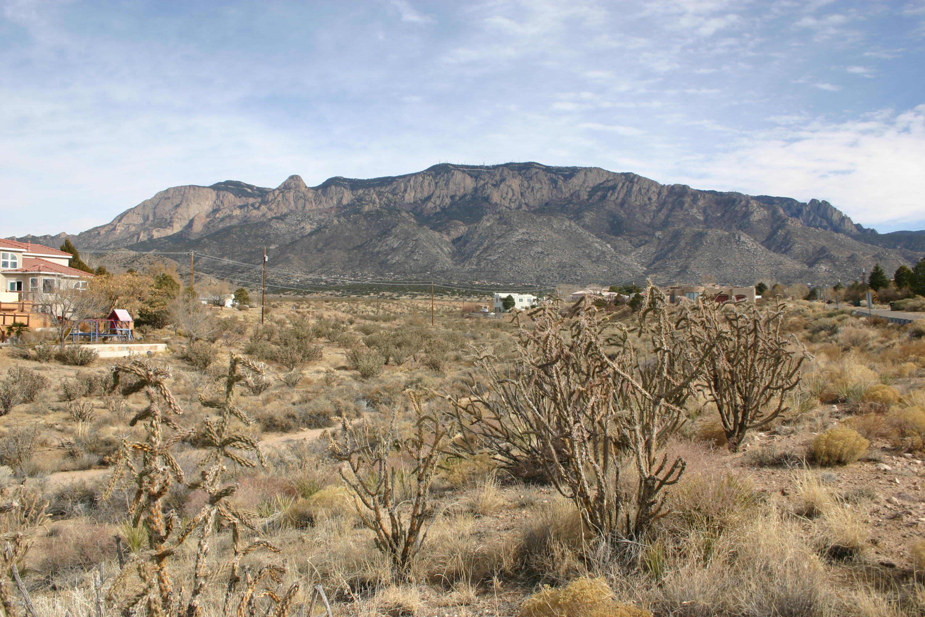 Announcing a special buy on Elena Ave NE!  That's right, one of those few and far between opportunities to secure a build site on one of Albuquerque's most prestigious streets. When you visit, note how adjacent/area homes were designed, majestic homes with spectacular views!  Something similar, customized to your style and needs that captures those views would be majestic here too. Utilities there or nearby, area requires well and septic.  Oversized 1.24 +/- acre lot stretches from Elena to Florence, no south neighbor.  Build site on Elena or north side of the lot. Served by some of APS Finest Schools - Double Eagle, Desert Ridge, La Cueva High, a benefit whether you use or not.   Booming Paseo del Norte corridor offers shopping (2.5 miles to Trader Joe's), restaurants, medical etc.