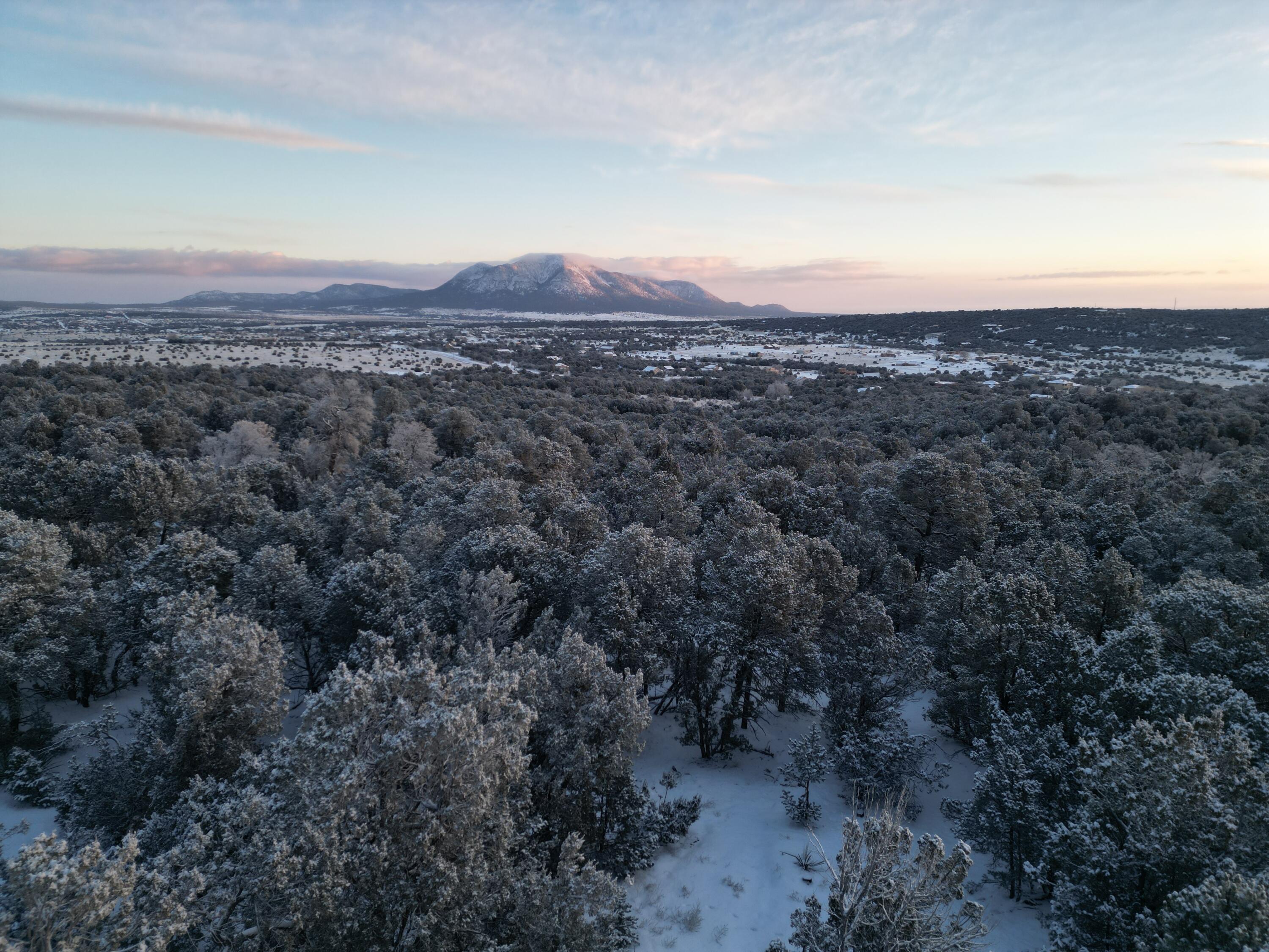 22 PUNCH Court, Tijeras