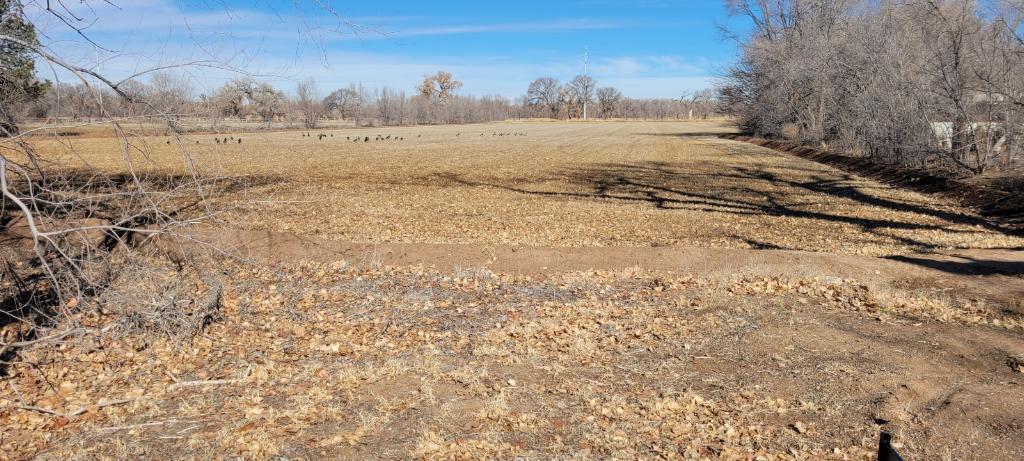 7.4 acres of prime land in the heart of the South Valley awaiting your vision to come true to build your dream home, have horses, or grow agriculture. Take a moment to stop by and see this land and imagine your Home Sweet Home
