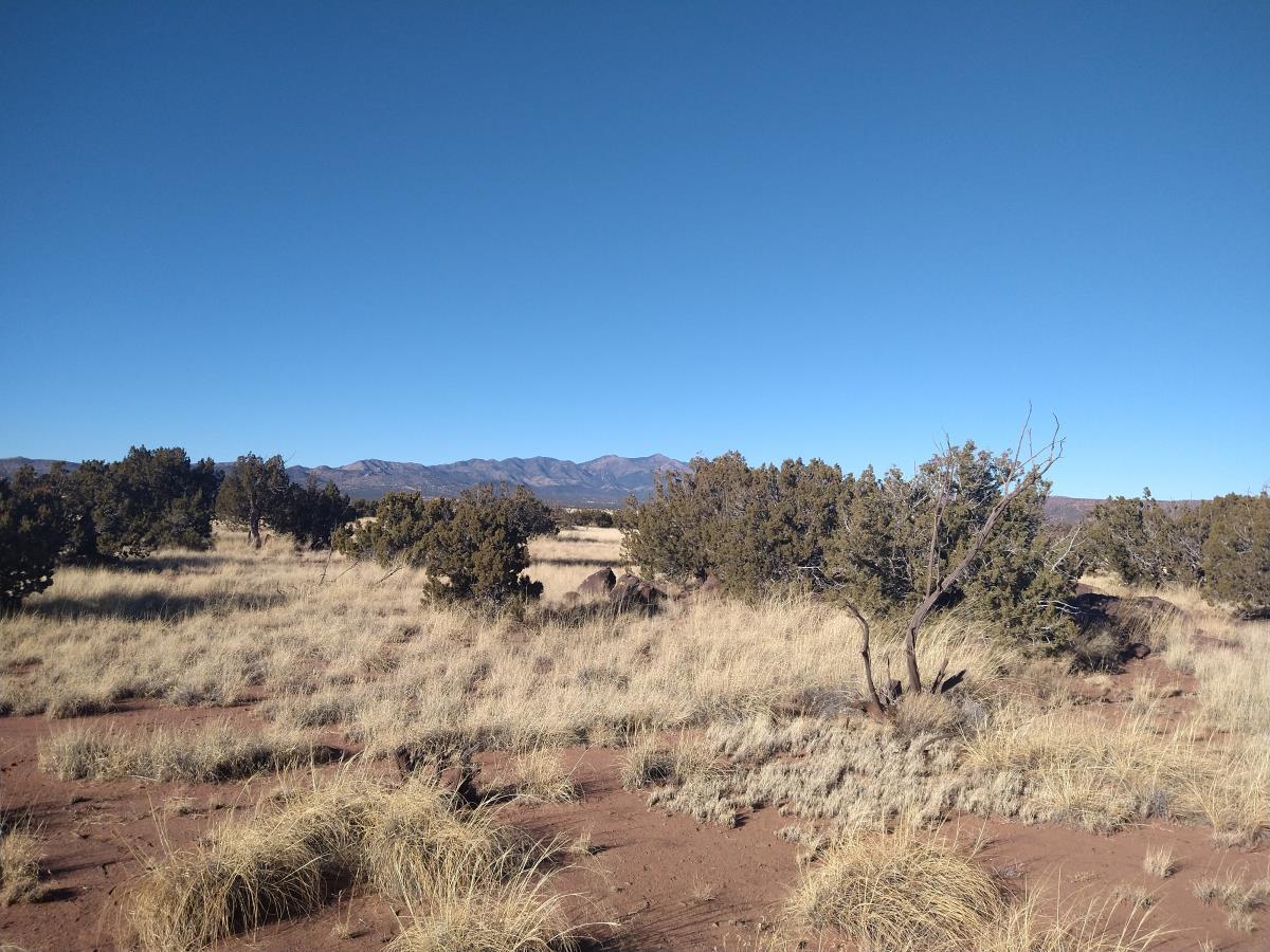 Forest Service RD 422, Bernardo