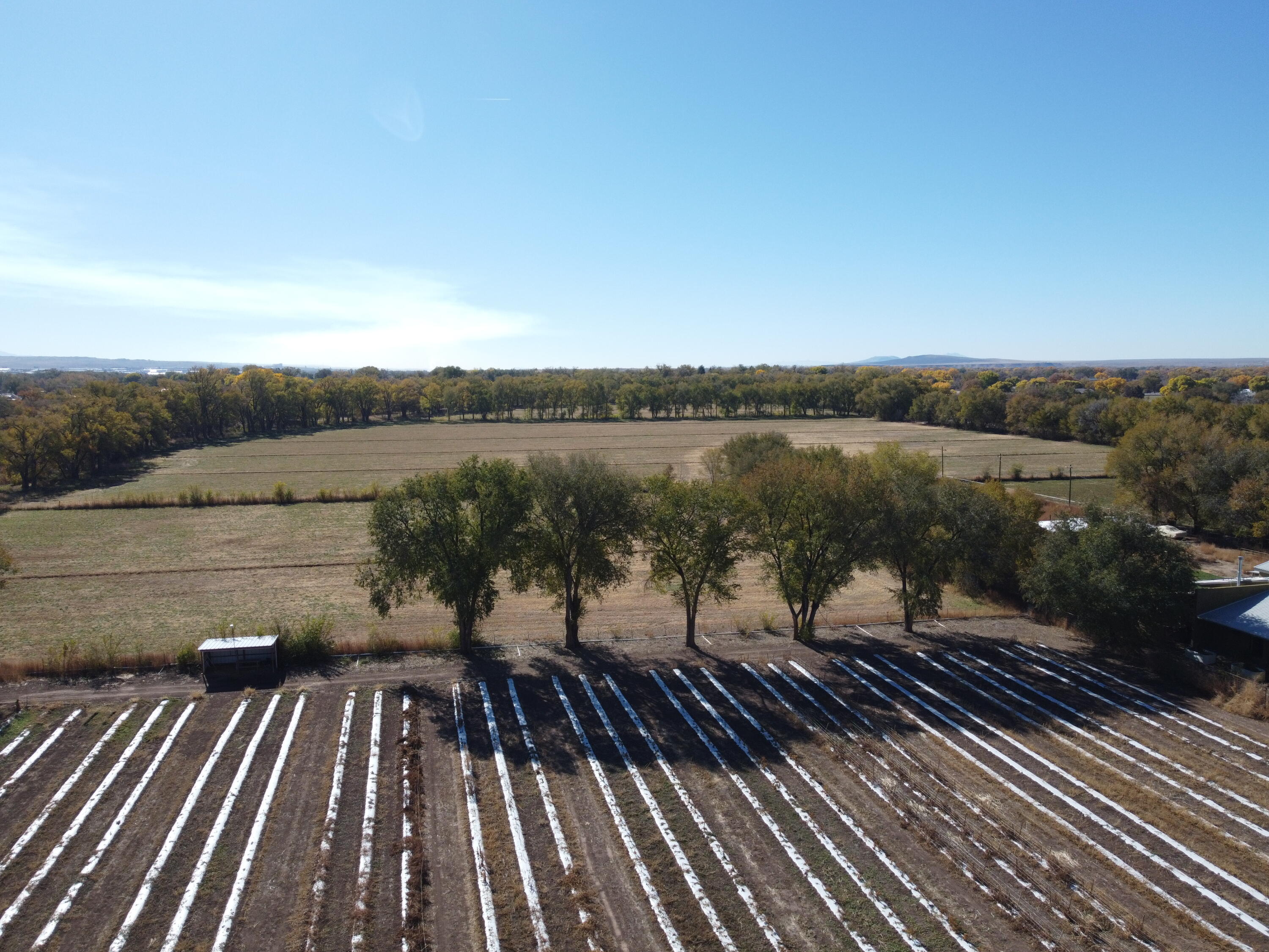 Level 35.79 acres currently in alfalfa. Paved road access. Some mature trees. Fenced, Access to MRGCD irrigation. canal.No water rights conveyed with property.This is nice farmland or would make a beautiful homesite.