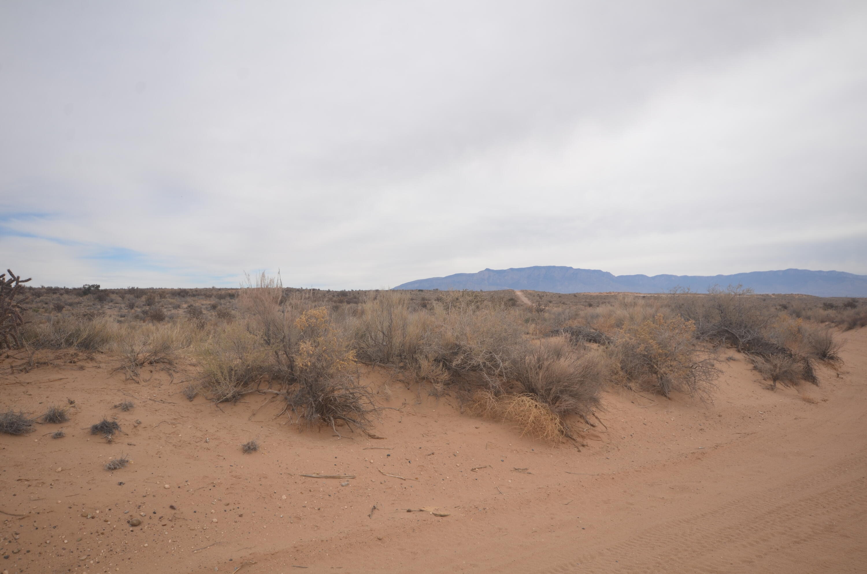 Ready to build or purchase investment properties? Here is your property! 360 views! 2 lots side by side available. Build your dream home here!