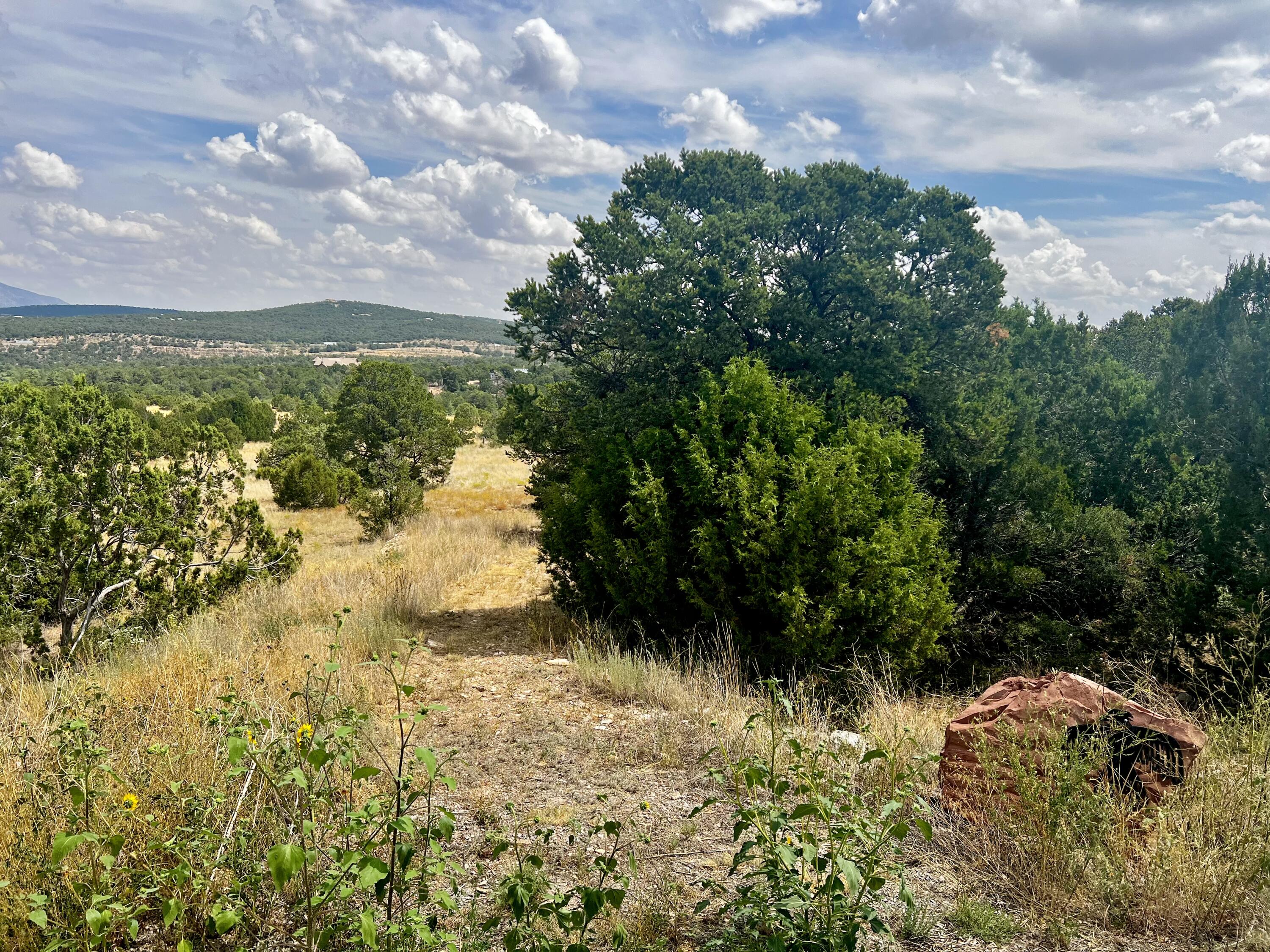 6 Wildcat ct Court, Tijeras